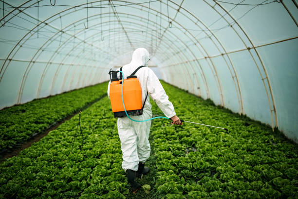 Best Local Pest Control Services  in Los Angeles, CA