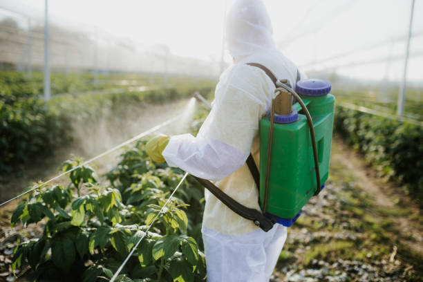  Los Angeles, CA Pest Control Pros